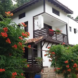 Nasco Золотые Пески